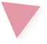 CHORN's main slide shape-2