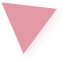 CHORN's main slide shape-2
